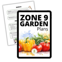 zone-9-garden-plan-574