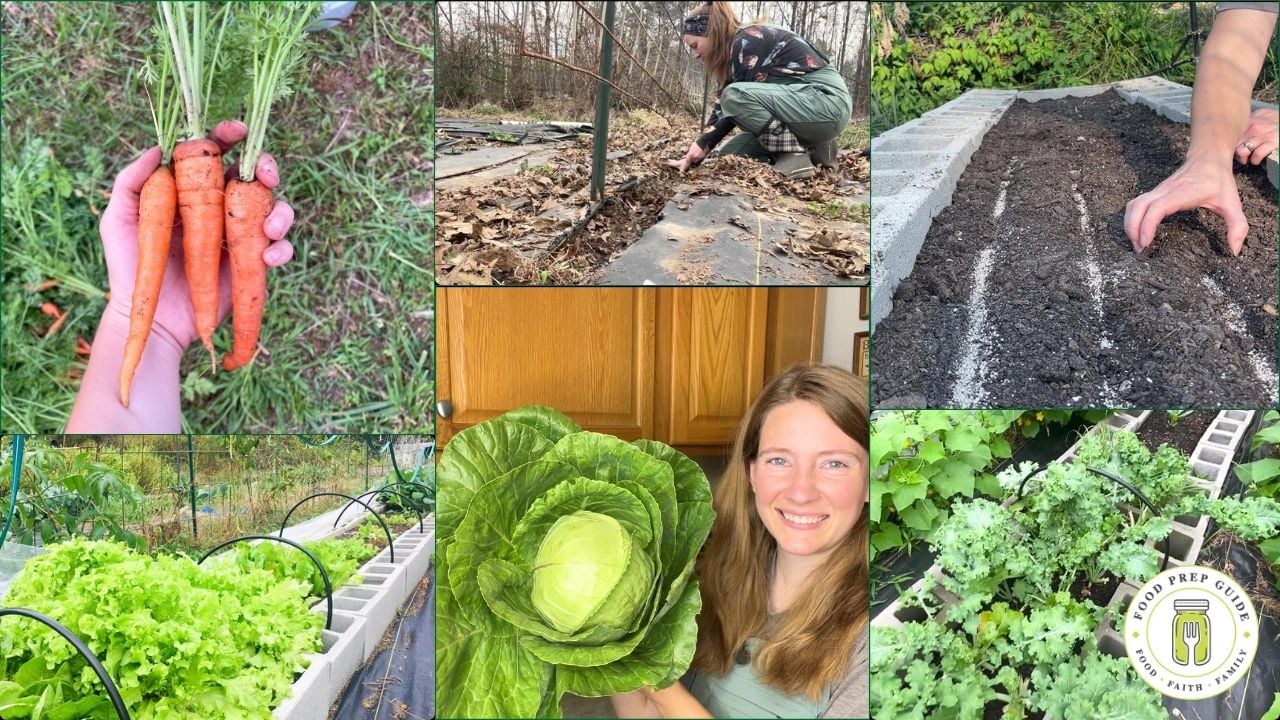 15 Vegetables to Plant This Fall (For a Kitchen Full of Food All Winter)